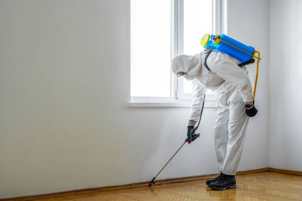 Best Best Pest Control Companies  in New Boston, TX