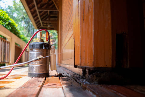 Best Exterminator Services  in New Boston, TX