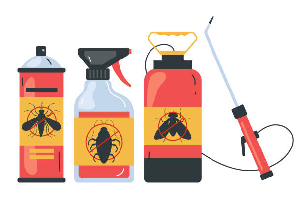 Best Bed Bug Extermination  in New Boston, TX