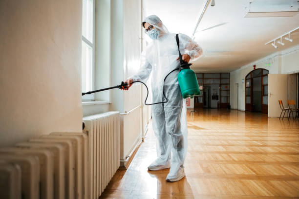 Best Termite Control Services  in New Boston, TX