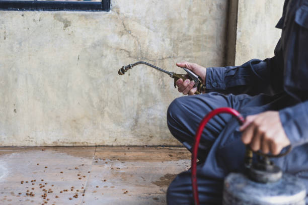Best Pest Control Near Me  in New Boston, TX